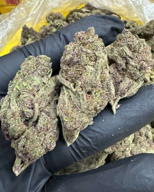 Trop Cherry Flower